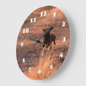 Daschund Dog Jumping in The Field Photo Grote Klok (Hoek)