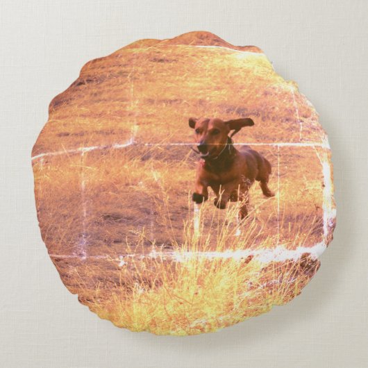 Daschund Dog Jumping in The Field Photo Rond Kussen (Achterkant)