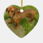 Daschund Dog Ornament (Voorkant)
