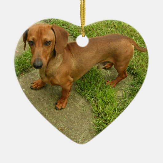 Daschund Dog Ornament (Voorkant)