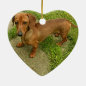 Daschund Dog Ornament (Achterkant)