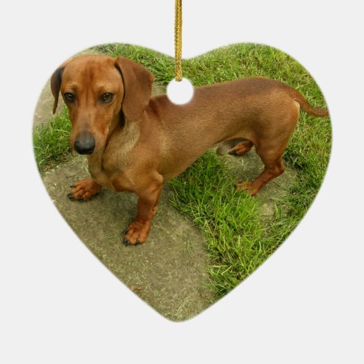 Daschund Dog Ornament (Achterkant)