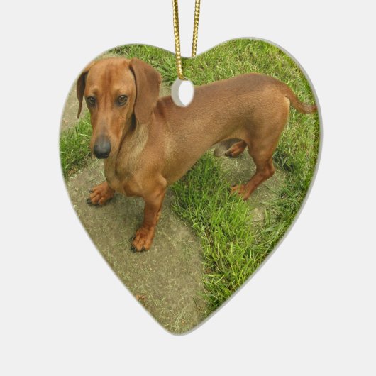 Daschund Dog Ornament (Links)