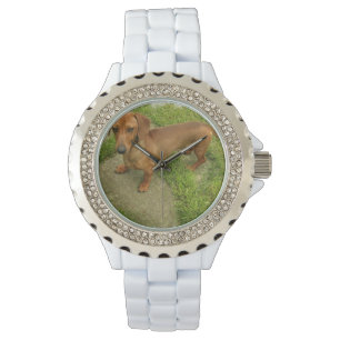 Daschund Horloge