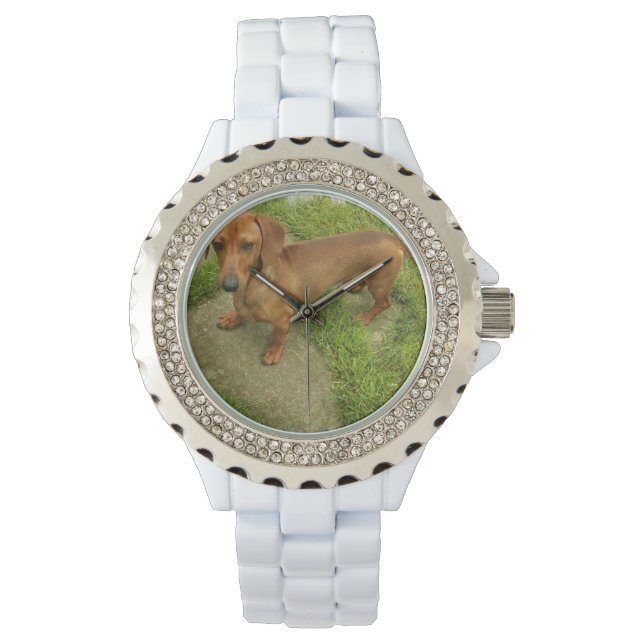 Daschund Horloge (Voorkant)