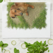 Daschund Kitchen Towel Theedoek (Gevouwen)