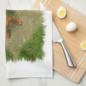 Daschund Kitchen Towel Theedoek (Quarter Fold)