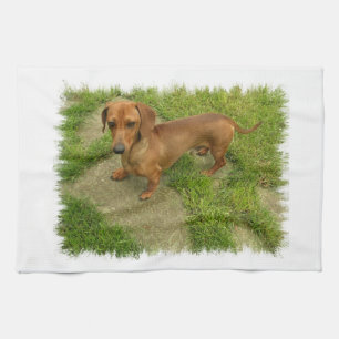 Daschund Kitchen Towel Theedoek