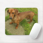 Daschund Mousepad Muismat (Met muis)