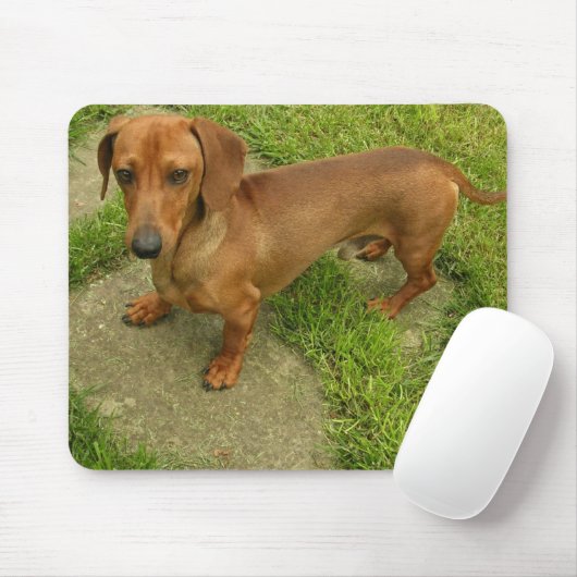 Daschund Mousepad Muismat (Met muis)