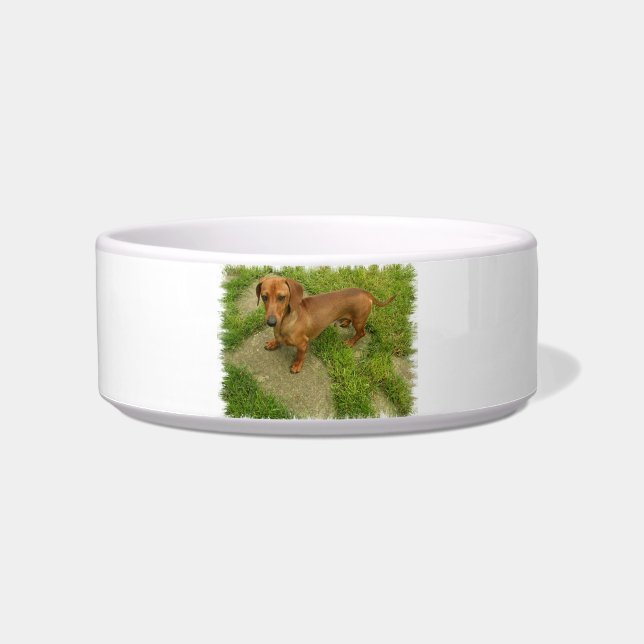 Daschund Pet Bowl Voerbakje (Voorkant)