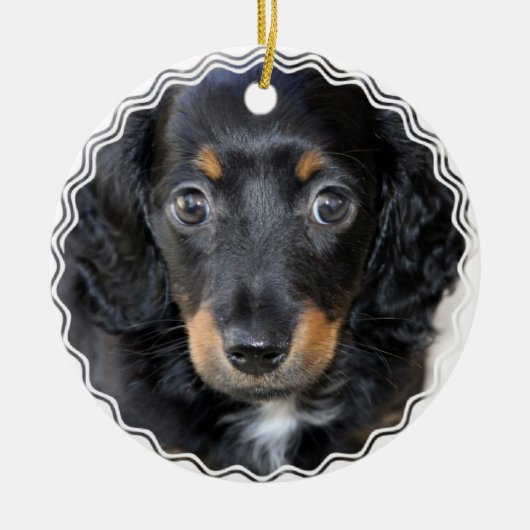 Daschund Puppy Dog Ornament (Voorkant)