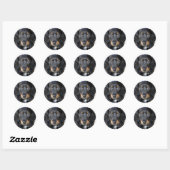 Daschund Puppy Dog Stickers (Vel)