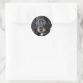 Daschund Puppy Dog Stickers (Tas)