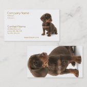 Daschund Puppy Visitekaartje (Voorkant / Achterkant)