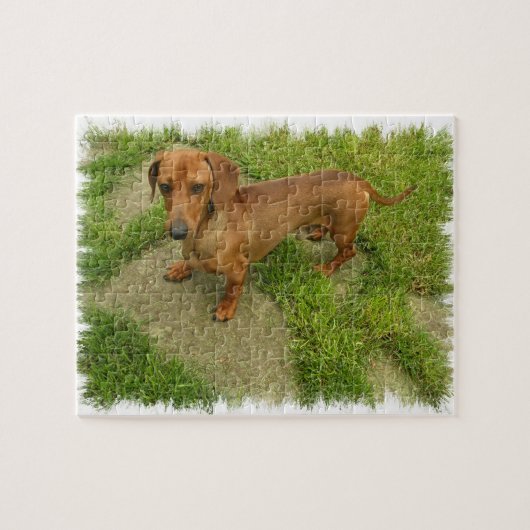 Daschund Puzzle Legpuzzel (Horizontaal)
