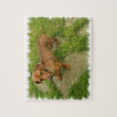 Daschund Puzzle Legpuzzel (Verticaal)