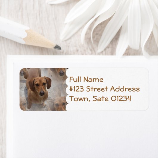 Daschund Rescue Mailing Label (Insitu)