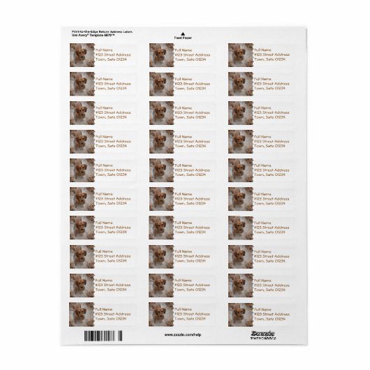 Daschund Rescue Mailing Label (Full Sheet)