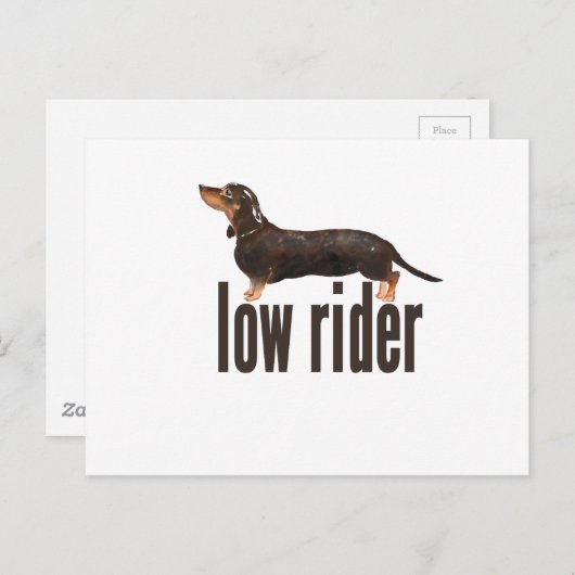 Daschund Sause Dog Briefkaart (Voorkant / Achterkant)