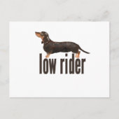 Daschund Sause Dog Briefkaart (Voorkant)