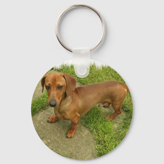 Daschund-Sleutelhanger Sleutelhanger (Voorkant)