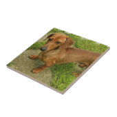 Daschund Tile Tegeltje (Zijkant)