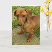 Daschund verticaal Wenskaart Kaart (Gele Bloem)