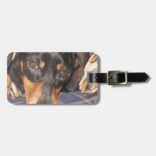 Daschund Weener Dog face Bagagelabel (Voorkant horizontaal)