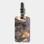 Daschund Weener Dog face Bagagelabel (Voorkant verticaal)