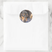 Daschund Weener Hondengezicht Ronde Sticker (Tas)
