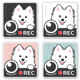 Dash Cam - Spitz Dog Opname Waarschuwing Sticker 4