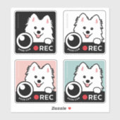 Dash Cam - Spitz Dog Opname Waarschuwing Sticker 4 (Vel)