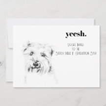 Dash de Hond