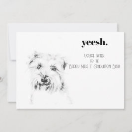 Dash de Hond Kaart