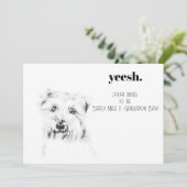Dash de Hond Kaart (Staand voorkant)