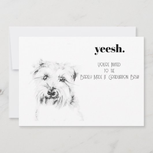 Dash de Hond Kaart (Voorkant)