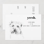 Dash de Hond Kaart (Voorkant / Achterkant)