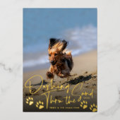 Dashing door het zand-dog strand folie feestdagenkaart (Voorkant)