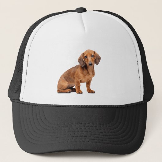 Dashund Dog Pet Animal Custom Trucker Hat (Voorkant)