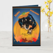 Dashund Halloween - de Kaart van het Boe-geroep (Gele Bloem)