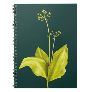 Daslook Natuur Groene Plant Natuurliefhebber Botan Notitieboek
