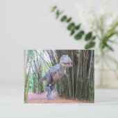 Daspletosaur - Dinosaur - Leerkaart Briefkaart (Staand voorkant)