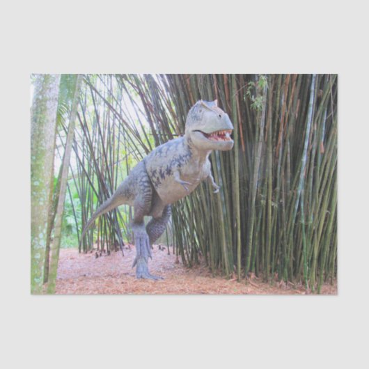 Daspletosaur - Dinosaur-weefselpapier Tissuepapier (Voorkant)