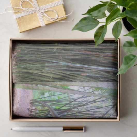 Daspletosaur - Dinosaur-weefselpapier Tissuepapier (Geschenk)