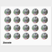 Daspletosaur - Dinosaurus - Bookplate Stickers (Vel)