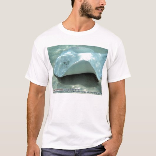 Dasyatis americana (Albino Southern Stingray) T-shirt (Voorkant)