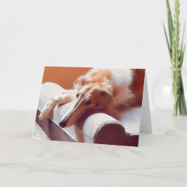 Dat Borzoi-gezicht Aankondiging