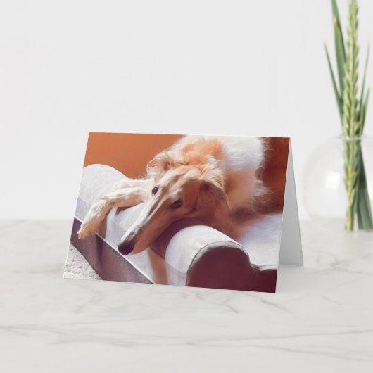 Dat Borzoi-gezicht Aankondiging (Voorkant)