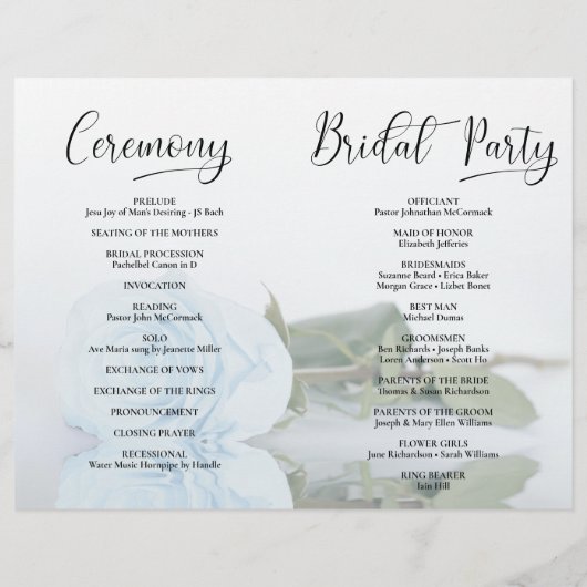 Dat doen we! Dusty Blue Roos DIY Vouw Trouwprogram (Achterkant)